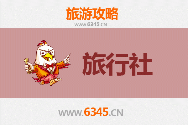 保亭六弓乡本地旅行社推荐：探索雨林秘境与黎苗文化的完美向导